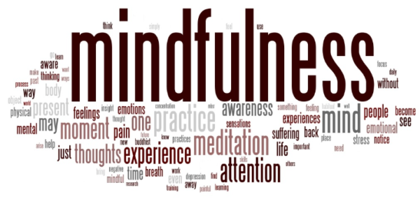 6 Week Mindfulness & Meditation Course